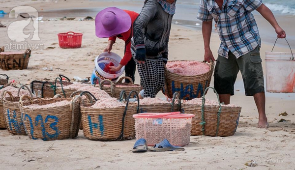 nhuộm ruốc