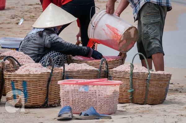 nhuộm ruốc