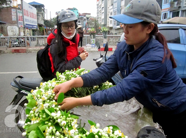 hoa bưởi