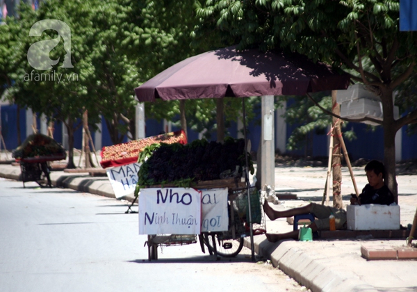 trốn nắng