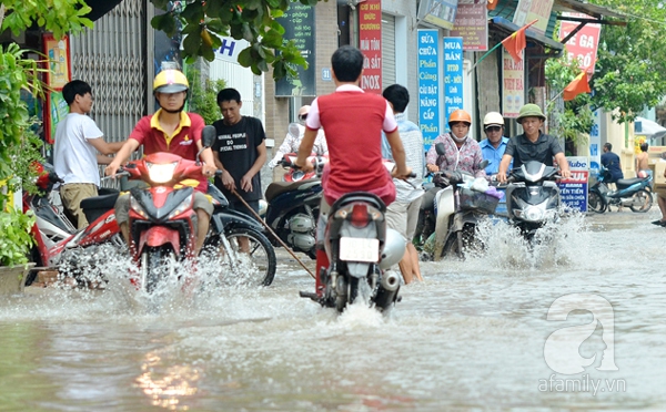 ngập lụt