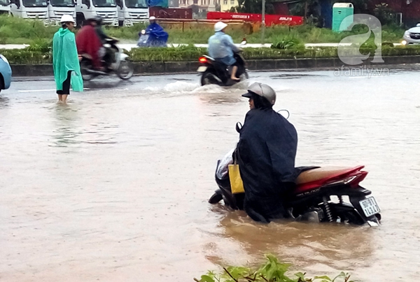 Dương nội