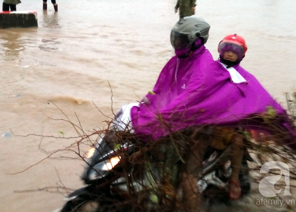 Dương nội