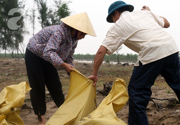 bão thần sấm