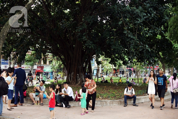 chó thả rông