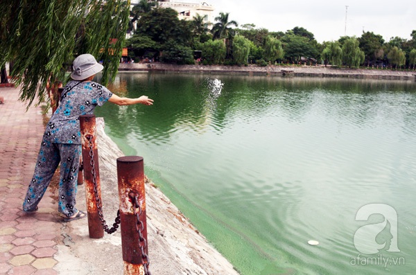 hồ văn quán