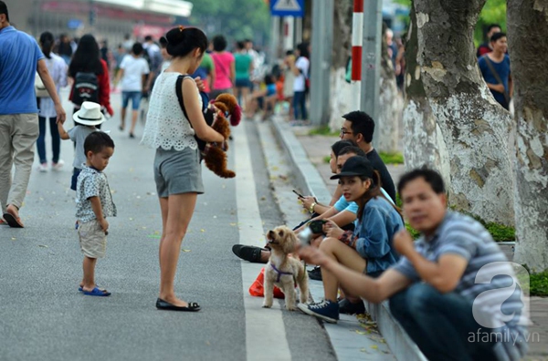 dắt chó đi dạo