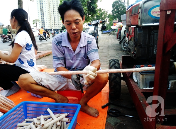 bỏng ngô