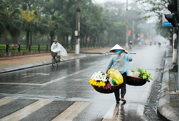 Tháng Mười và những gánh hoa rong đẹp lung linh ở thành Nam 18