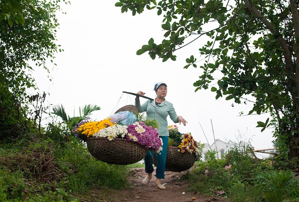 Tháng Mười và những gánh hoa rong đẹp lung linh ở thành Nam 11