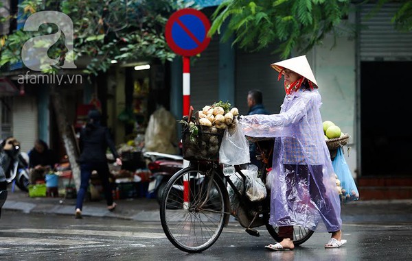 Chống chọi với thời tiết 