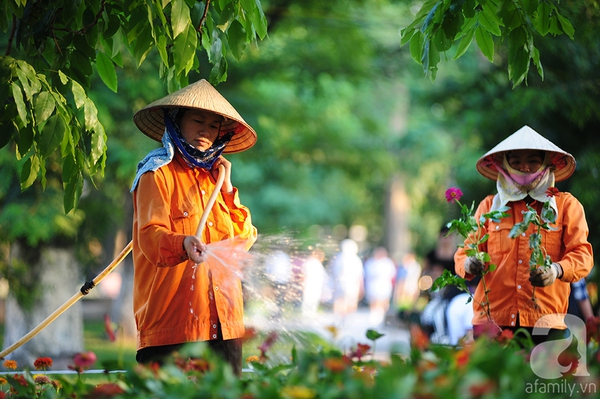 thu hà nội