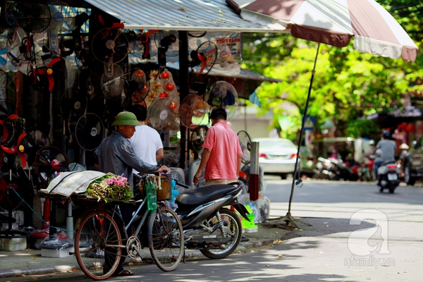 thu hà nội