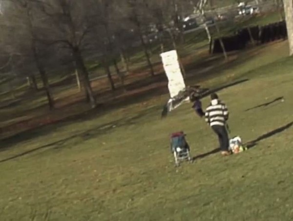 Đại bàng bắt cóc trẻ em ở công viên 7