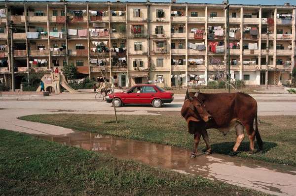 Bộ ảnh sống động về Hà Nội năm 1989 của nhiếp ảnh gia người Mỹ 8