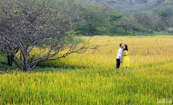 Những điểm chụp ảnh cưới đẹp ở miền Bắc 7 Những điểm chụp ảnh cưới đẹp ở miền Bắc 7