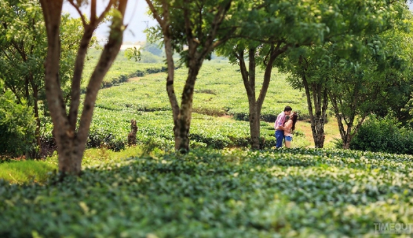 Những điểm chụp ảnh cưới đẹp ở miền Bắc 8 Những điểm chụp ảnh cưới đẹp ở miền Bắc 8