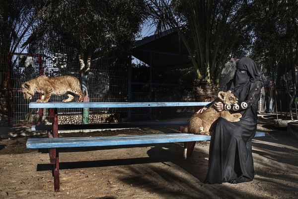 Một góc cuộc sống bình yên ở Palestine dưới ống kính nữ nhiếp ảnh gia người Mỹ 2