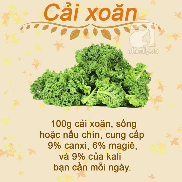 cải xoăn