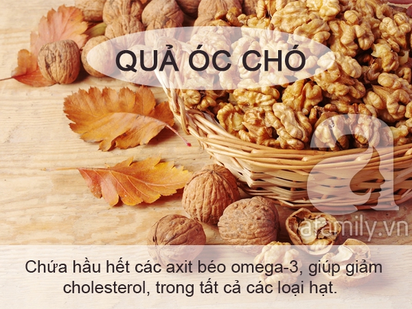 oc cho oc cho