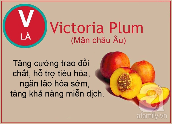 thuc pham tu a den z