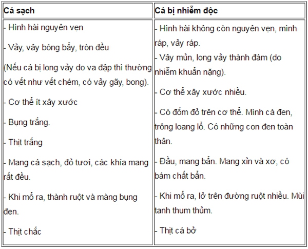 phân biệt cá tươi và cá nhiễm độc