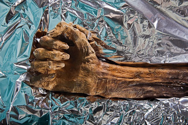Những điều ít biết về xác ướp người băng Otzi 14