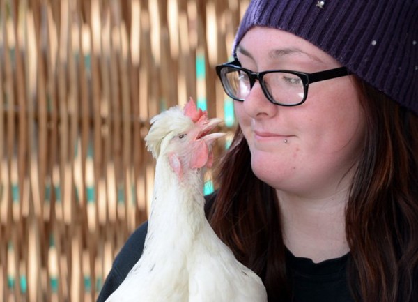 Bà mẹ cứu sống một con gà mù - thú cưng của cô con gái mắc bệnh tự kỷ 1