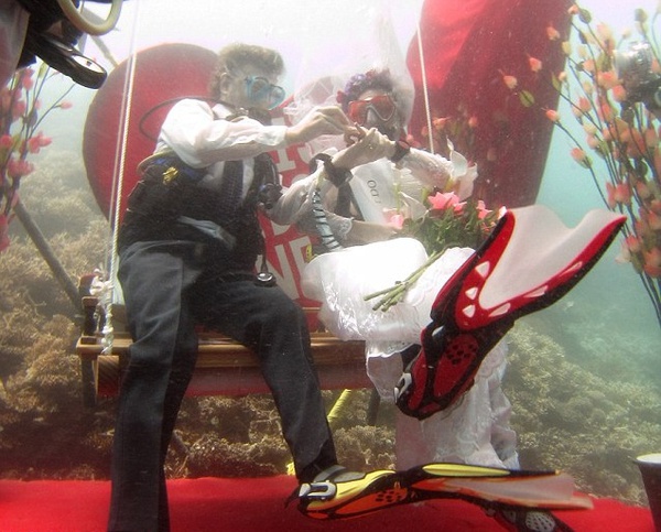 Cặp đôi tổ chức hôn lễ dưới lòng Ấn Độ Dương 4
