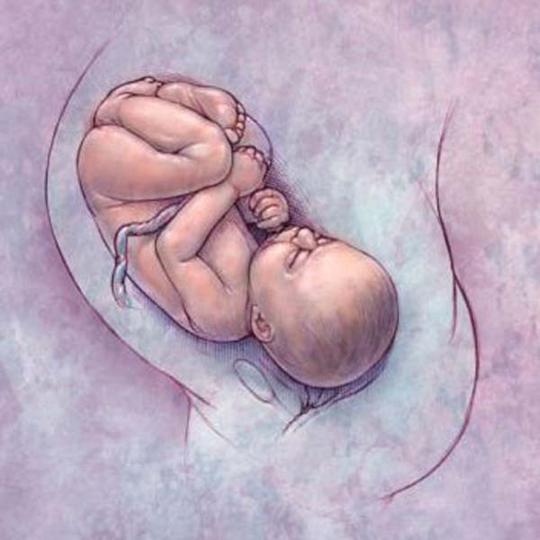 7 điều nên làm để ngừa dị tật bẩm sinh cho thai nhi 2