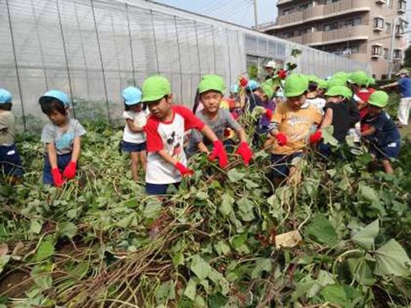 Trẻ em Nhật và những bài học đạo đức thú vị 7