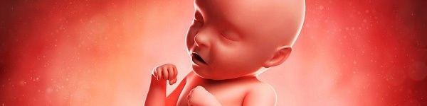 4 thói quen xấu “di truyền” từ mẹ tới thai nhi 2