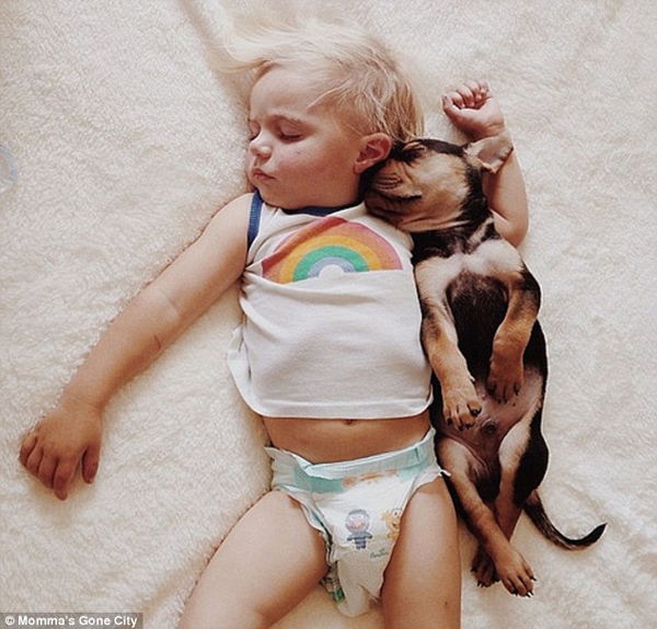 Chùm ảnh siêu dễ thương khi bé ngủ cùng cún con 3