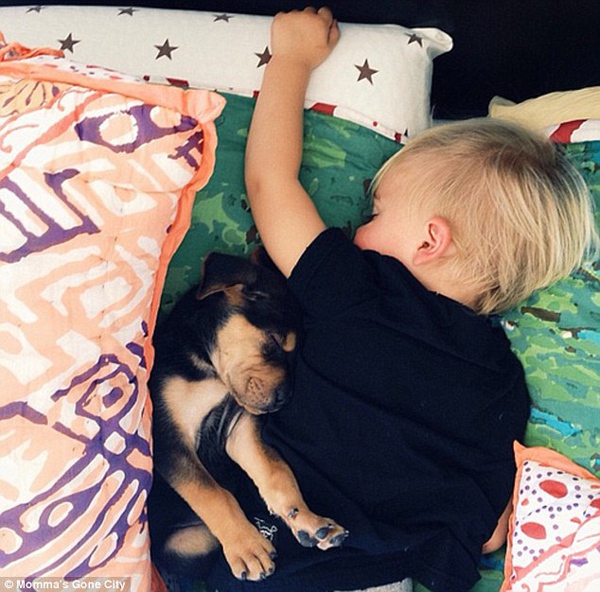 Chùm ảnh siêu dễ thương khi bé ngủ cùng cún con 4