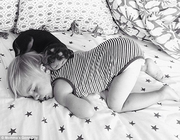 Chùm ảnh siêu dễ thương khi bé ngủ cùng cún con 5