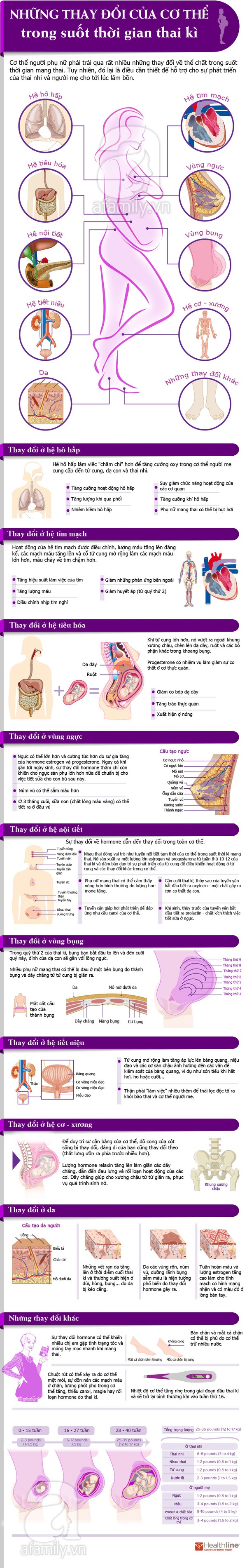 Những thay đổi quan trọng của cơ thể trong 9 tháng thai kỳ   1