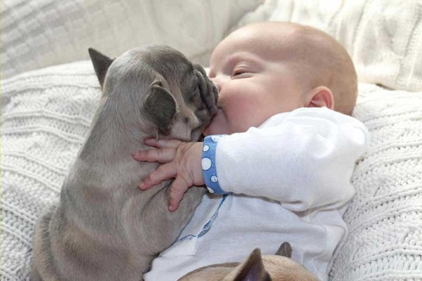 Ngẩn ngơ trước loạt ảnh siêu dễ thương của bé với cún cưng 8 Ngẩn ngơ trước loạt ảnh siêu dễ thương của bé với cún cưng 8