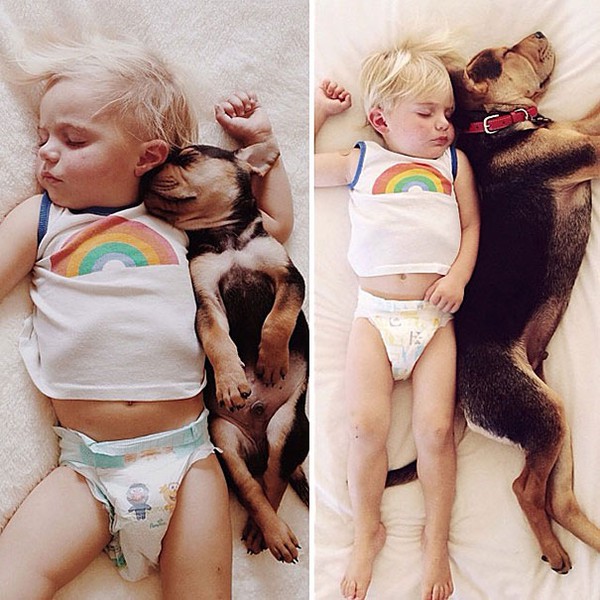 Thêm những hình ảnh ngủ với cún siêu yêu của cậu bé Beau 1