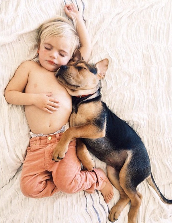 Thêm những hình ảnh ngủ với cún siêu yêu của cậu bé Beau 3