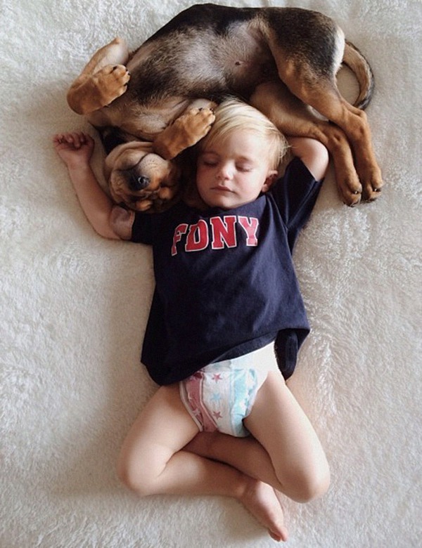 Thêm những hình ảnh ngủ với cún siêu yêu của cậu bé Beau 4