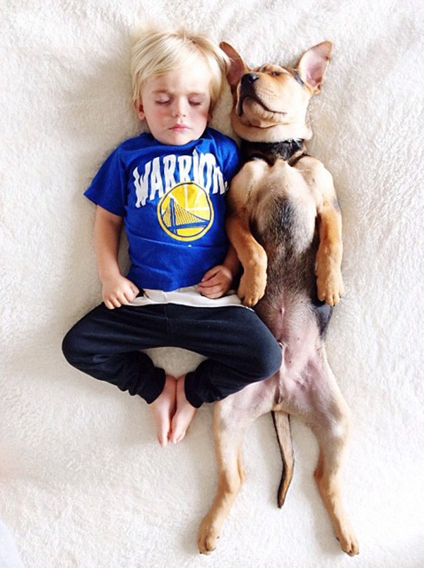 Thêm những hình ảnh ngủ với cún siêu yêu của cậu bé Beau 5