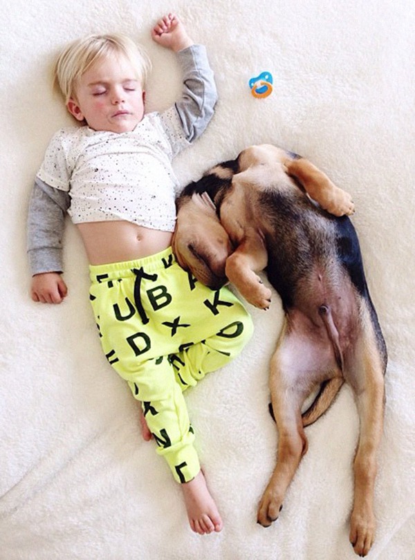 Thêm những hình ảnh ngủ với cún siêu yêu của cậu bé Beau 6