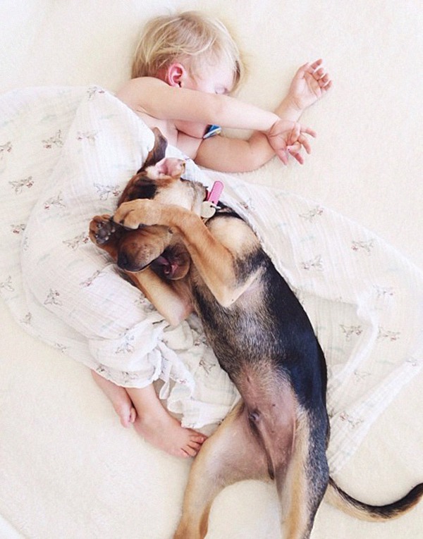 Thêm những hình ảnh ngủ với cún siêu yêu của cậu bé Beau 7