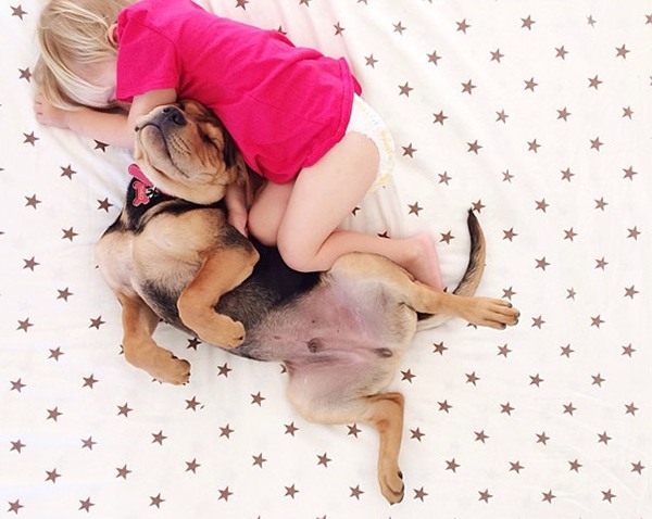 Thêm những hình ảnh ngủ với cún siêu yêu của cậu bé Beau 8