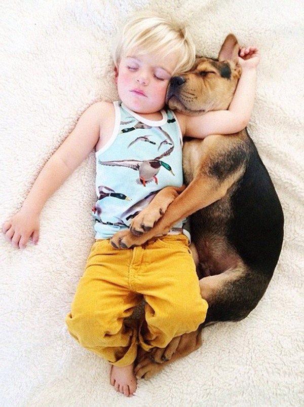 Thêm những hình ảnh ngủ với cún siêu yêu của cậu bé Beau 9