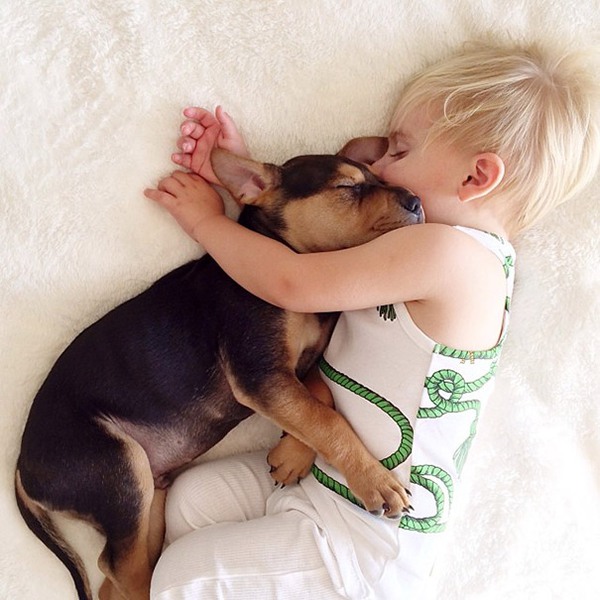 Thêm những hình ảnh ngủ với cún siêu yêu của cậu bé Beau 10