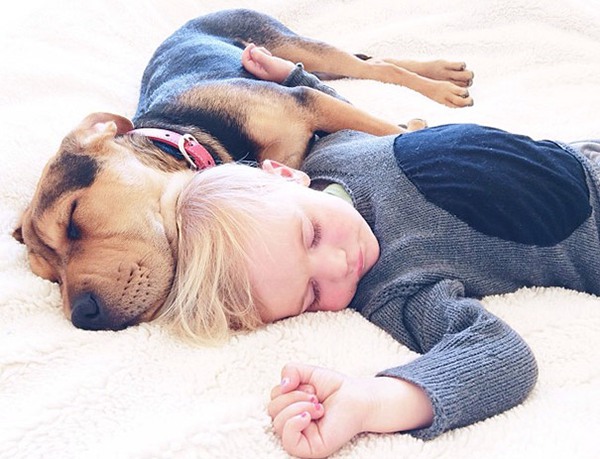 Thêm những hình ảnh ngủ với cún siêu yêu của cậu bé Beau 11