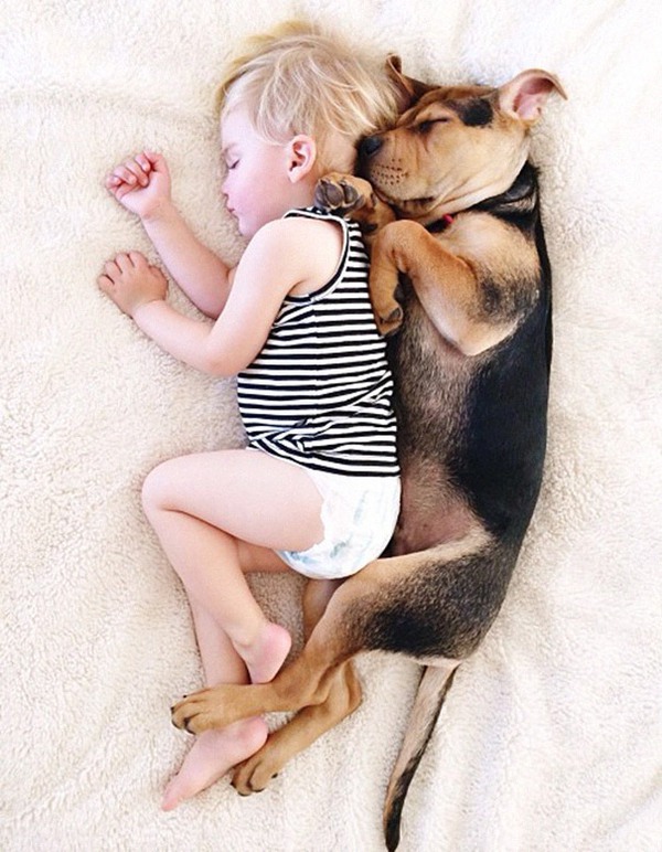 Thêm những hình ảnh ngủ với cún siêu yêu của cậu bé Beau 2
