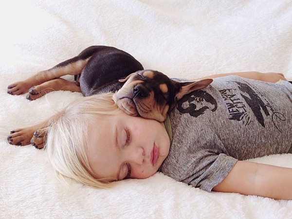 Thêm những hình ảnh ngủ với cún siêu yêu của cậu bé Beau 13