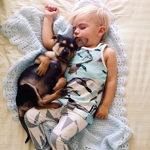 Thêm những hình ảnh ngủ với cún siêu yêu của cậu bé Beau 15